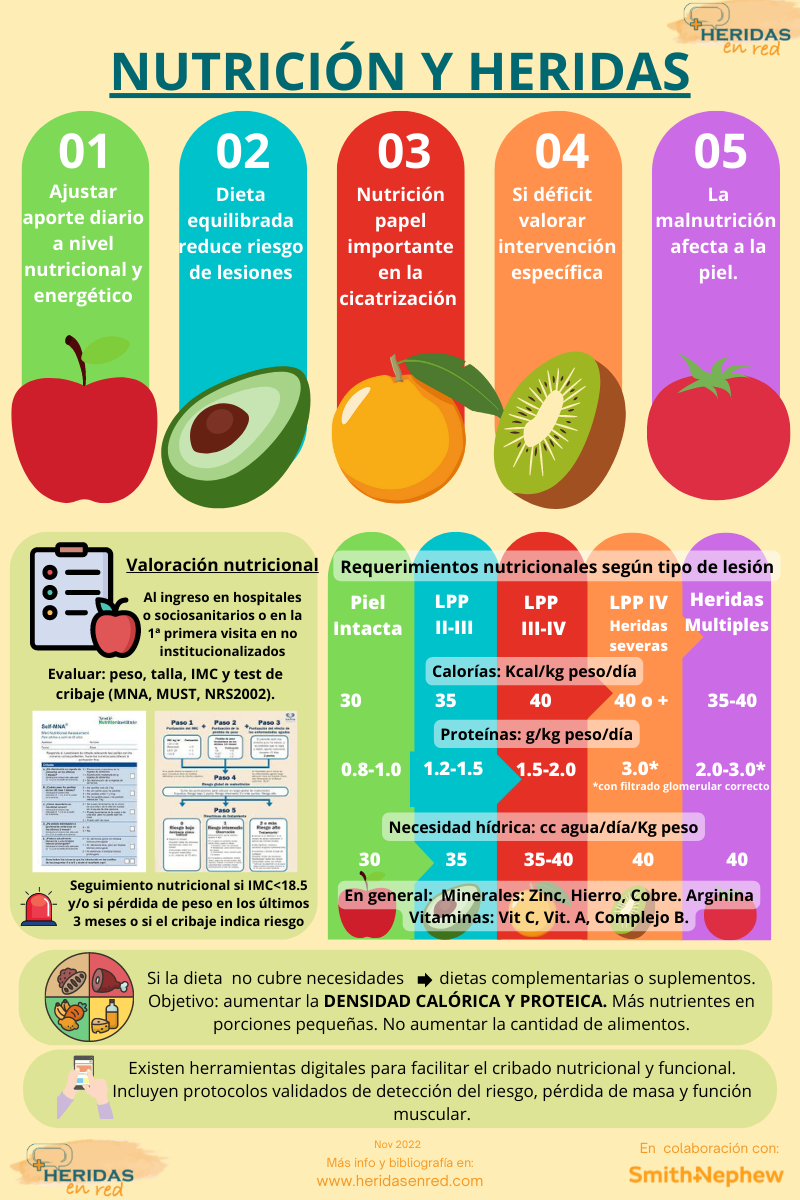Infografía Nutrición Y Heridas Heridas En Red 4217