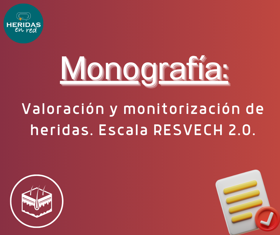 Monografia escala monitorización RESVECH 2.0.