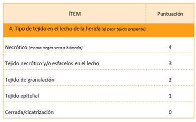 Escala Resvech 2.0.