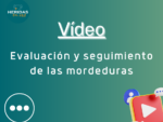 Evaluación y seguimiento de las mordeduras