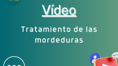 Tratamiento de mordeduras